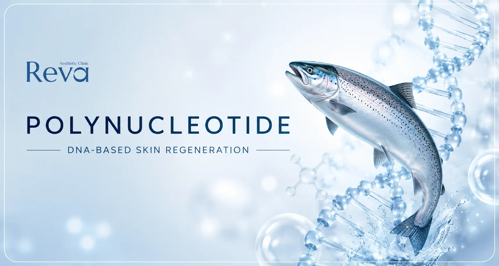 What Is Polynucleotide (PN)
