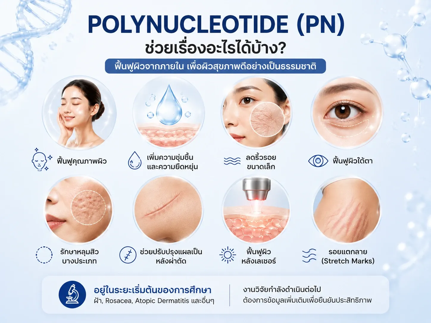 Medical infographic showing the clinical applications of Polynucleotide (PN) for skin rejuvenation, acne scars, under-eye treatment, and skin repair.