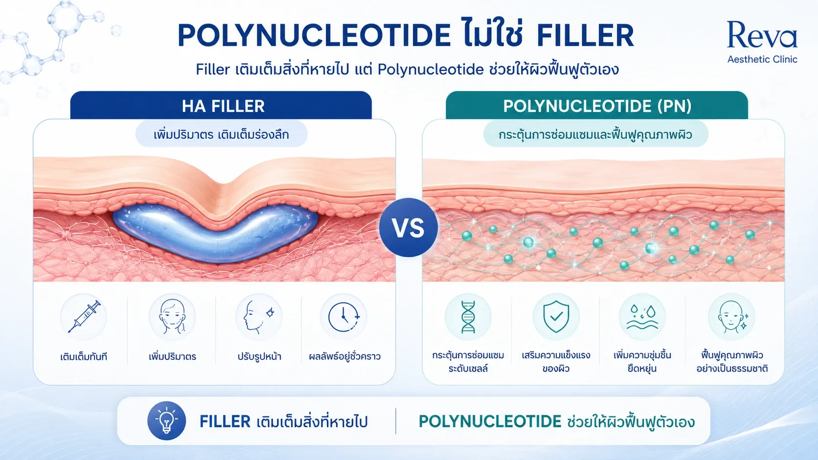 Comparison infographic between Hyaluronic Acid (HA) filler and Polynucleotide (PN), illustrating volume restoration versus skin regeneration.