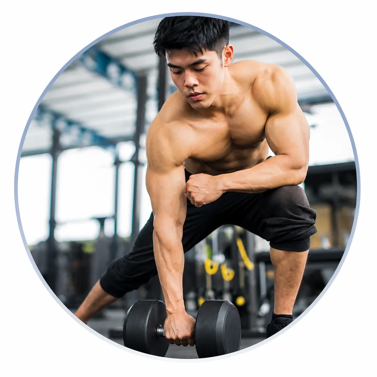 Muscle Gain