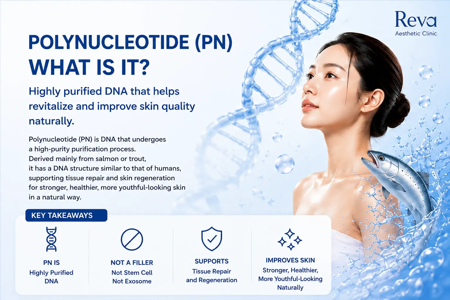 What is Polynucleotide (PN)? Medical illustration explaining highly purified DNA for tissue repair, skin regeneration, and improved skin quality.